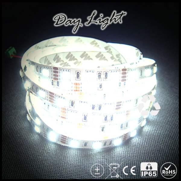 Led Ταινία 14.4W Strip-SMD5050 60 Leds IP65